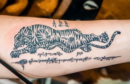 10 Amazing Muay Thai Tiger Tattoo Designs Petpress