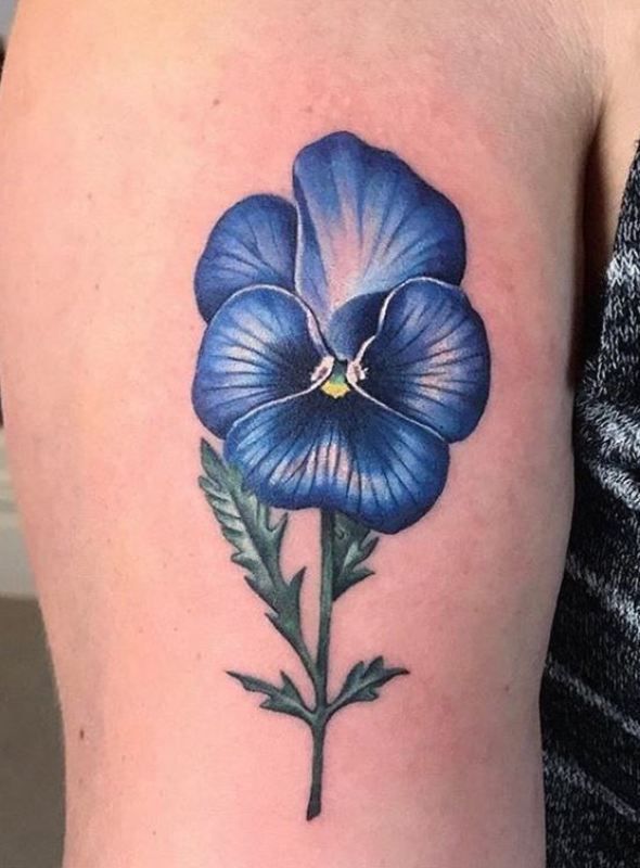 100 Amazing Pansy Tattoo Designs With Meanings Ideas And Celebrities