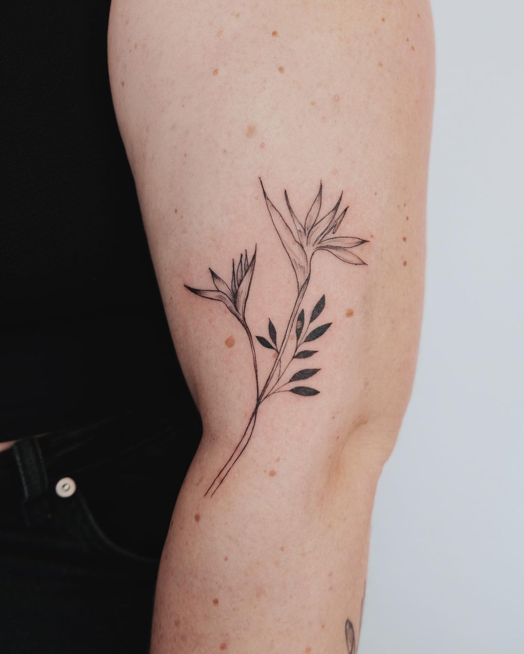 101 Best Bamboo Tattoo Ideas You Amp 39 Ll Have To See To Believe