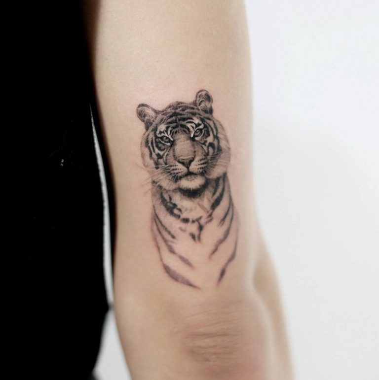 15 Small Tiger Tattoo Design Ideas Artofit