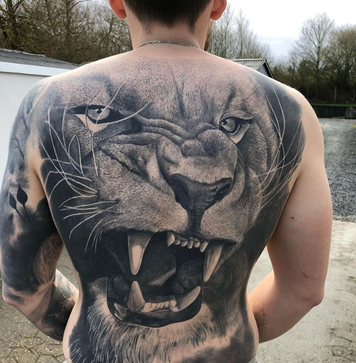 18 Best Lion S Head Tattoo Designs And Ideas Petpress