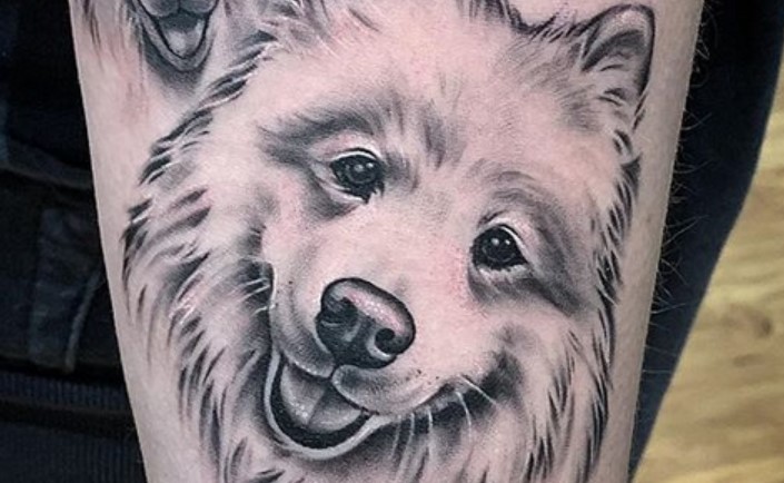 20 Cute Samoyed Tattoo Ideas The Dogman