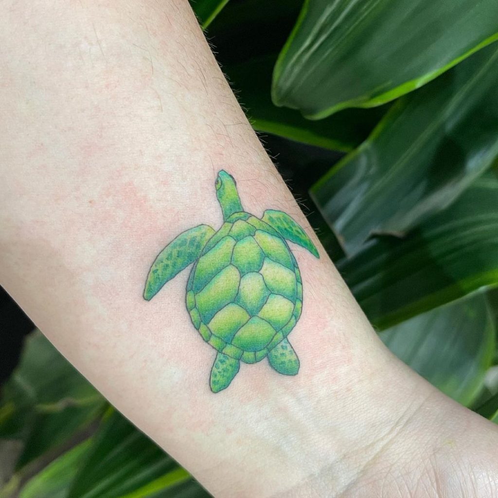 20 Popular Small Turtle Tattoos To Have In 2021 Small Tattoos Ideas