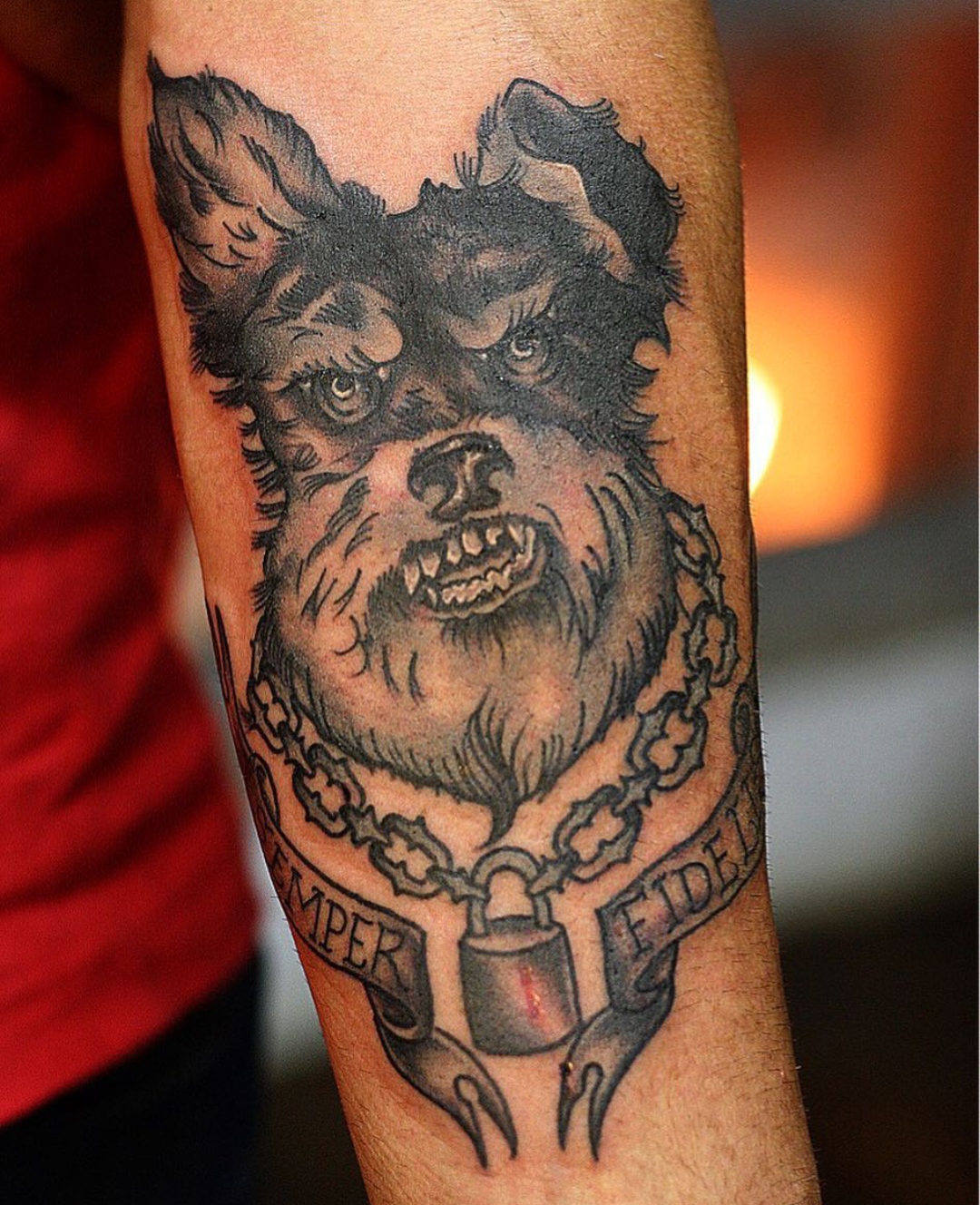 20 Schnauzer Tattoo Ideas The Dogman