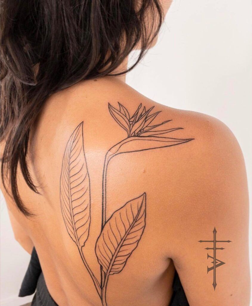 20 Super Ideas For Tattoo Bird Of Paradise Design Bird Of Paradise