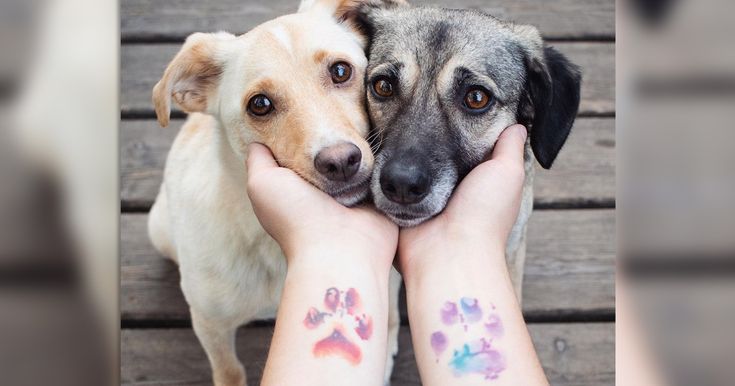 23 Surprisingly Sweet Stunning Paw Print Tattoos Pawprint Tattoo