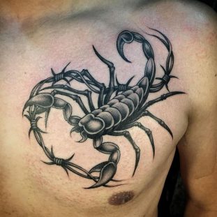 25 Savage Scorpion Tattoos For Men Pulptastic