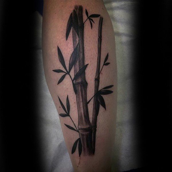 38 Bamboo Tattoo Symbols Ideas Bamboo Tattoo Symbolic Tattoos Tattoos