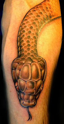 3D Snakes Tattoo On Forearms Tattoos Photo Gallery