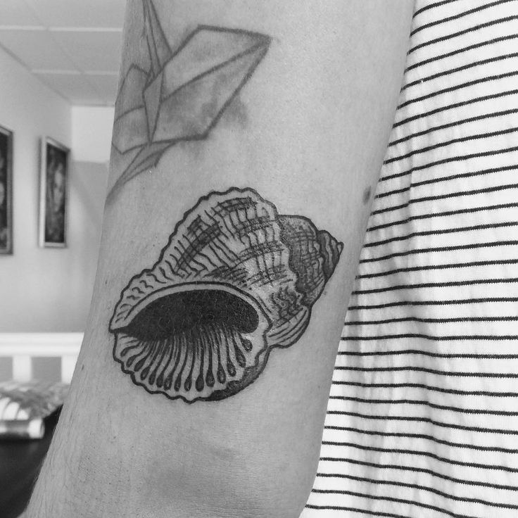 43 Irresistible Shell Tattoos In 2020 Shell Tattoos Tattoos