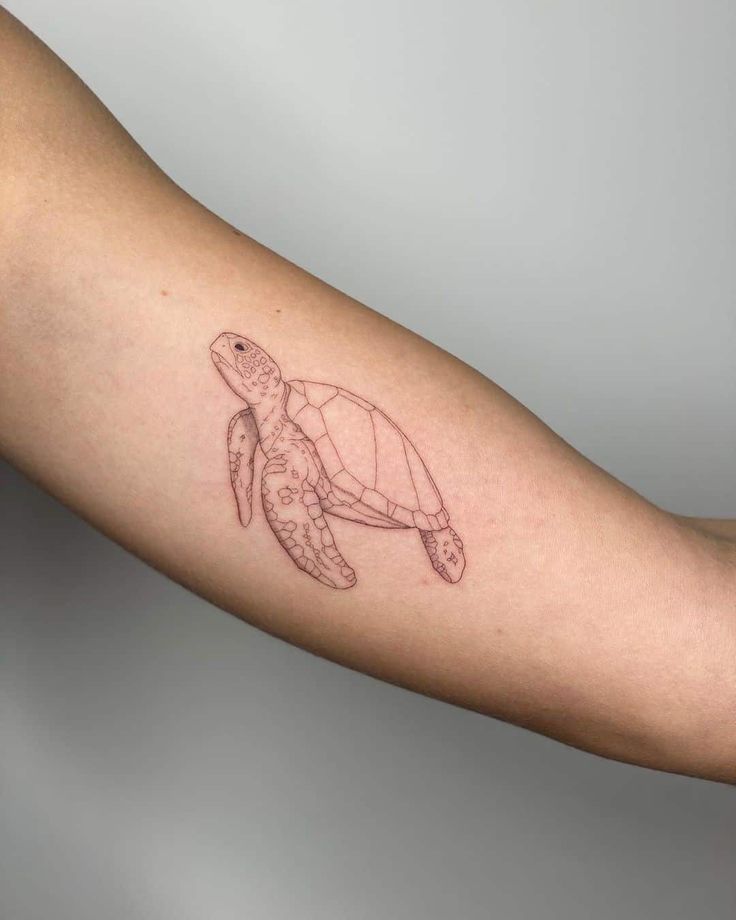 50 Mini Sea Turtle Tattoo Design Ideas For Men And Women