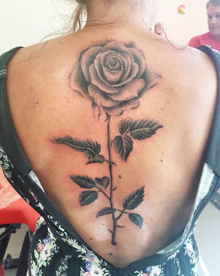 60 Most Elegant Rose Tattoos Ideas For Women