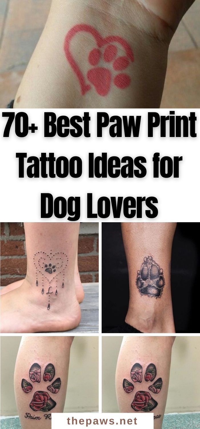 70 Best Paw Print Tattoo Ideas For Dog Lovers Page 10 Of 15 The