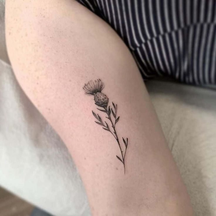 8 Thistle Tattoos Elegant Floral Designs For Timeless Beauty