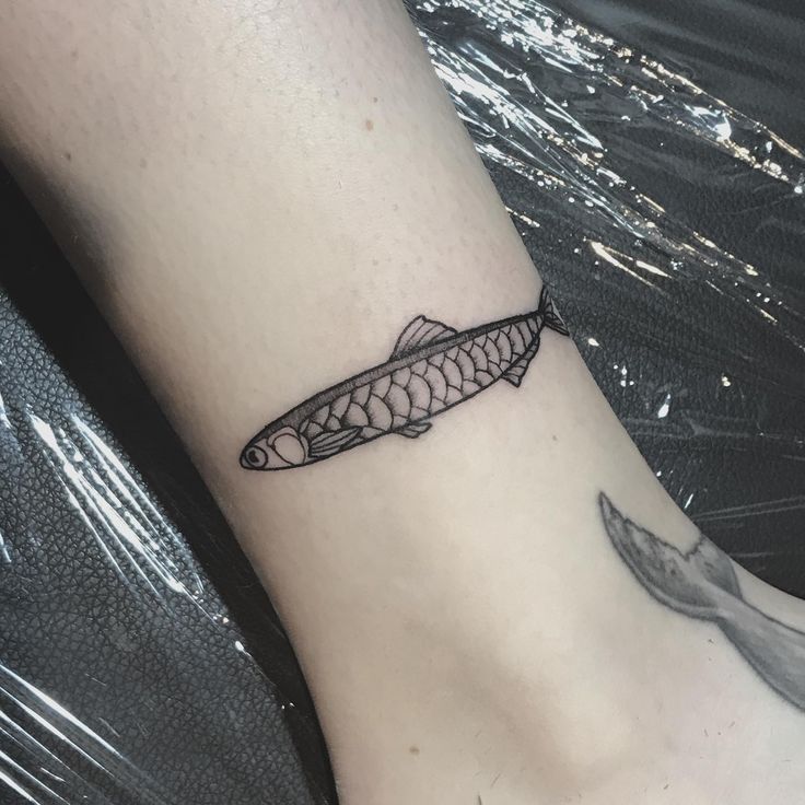 Anchovy Fish Tattoo Simple Anchovy Fish Tattoo Small Anchovy Fish