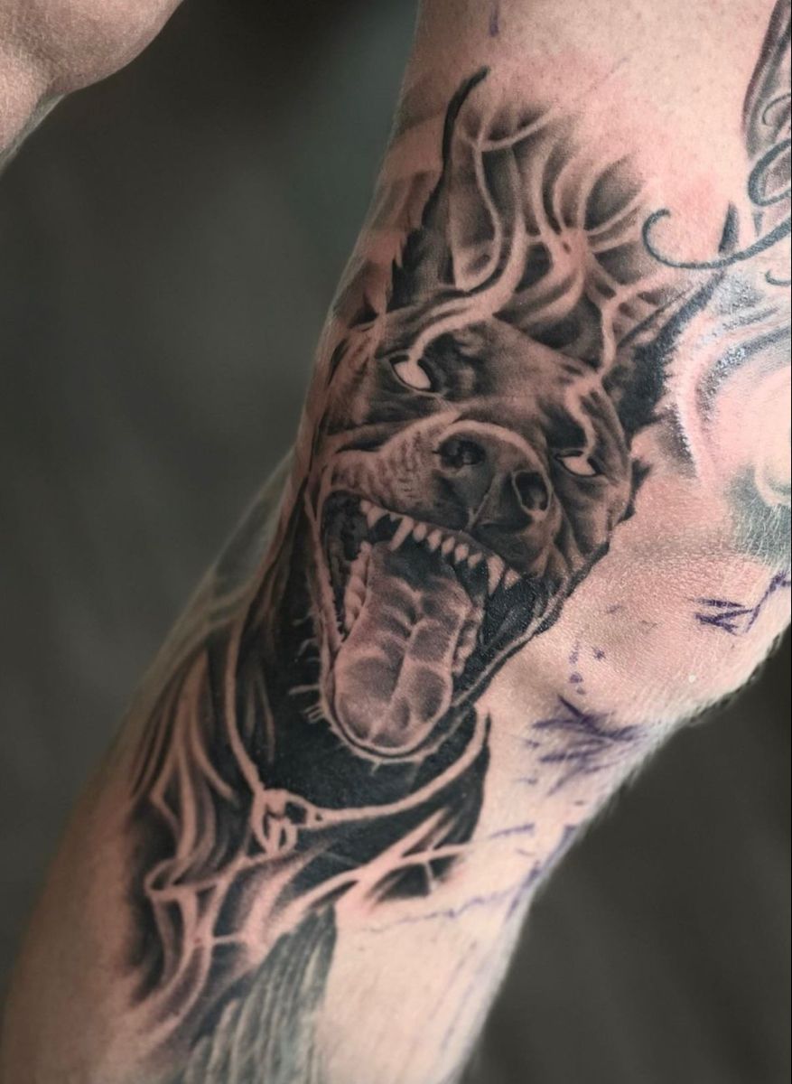 Angry Pitbull Dog Realistic Tattoo On Forearm In Black And Grey By Kylie Wild Heslop Canberra