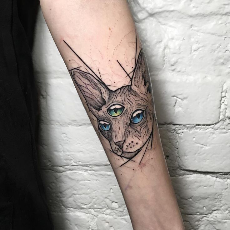 Animal Tattoo Designs Three Eyed Cat Tattooviral Com Your