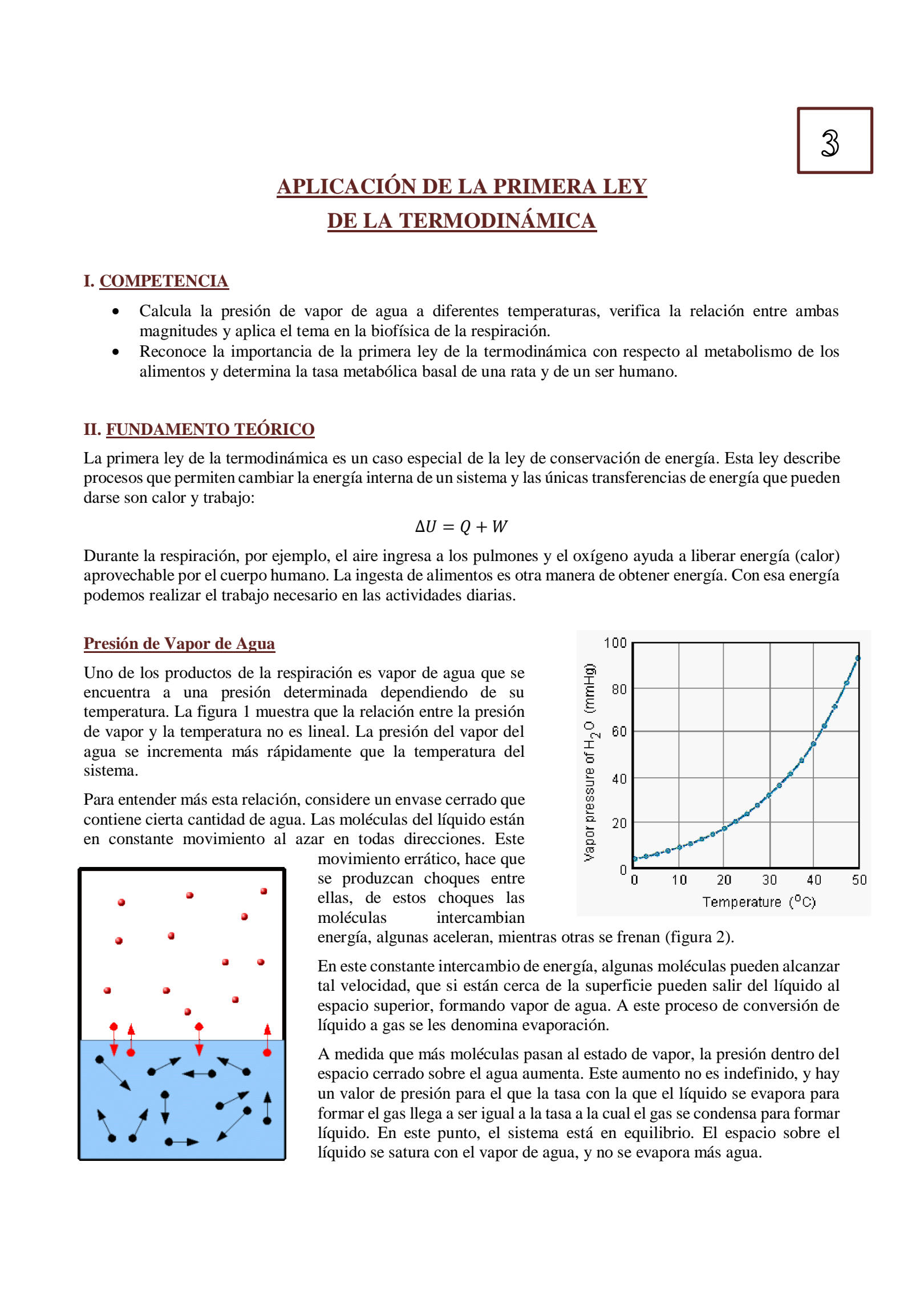 Aplicaci N De Tatuaje Primera Sesi N Espacioplastico Tattoo