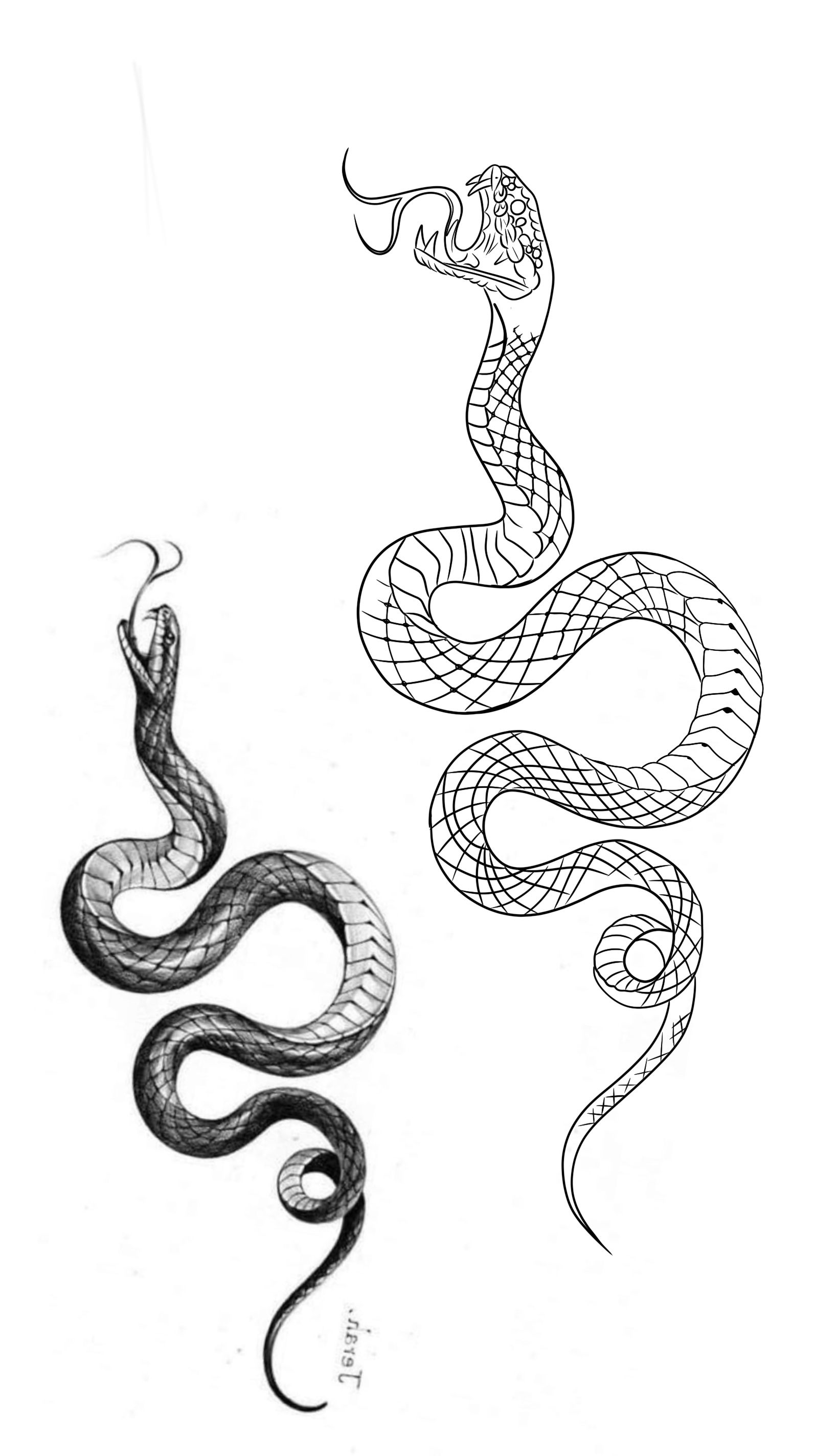 Attractive And Beautiful Snake Tattoo Design Ideas Codra Snake