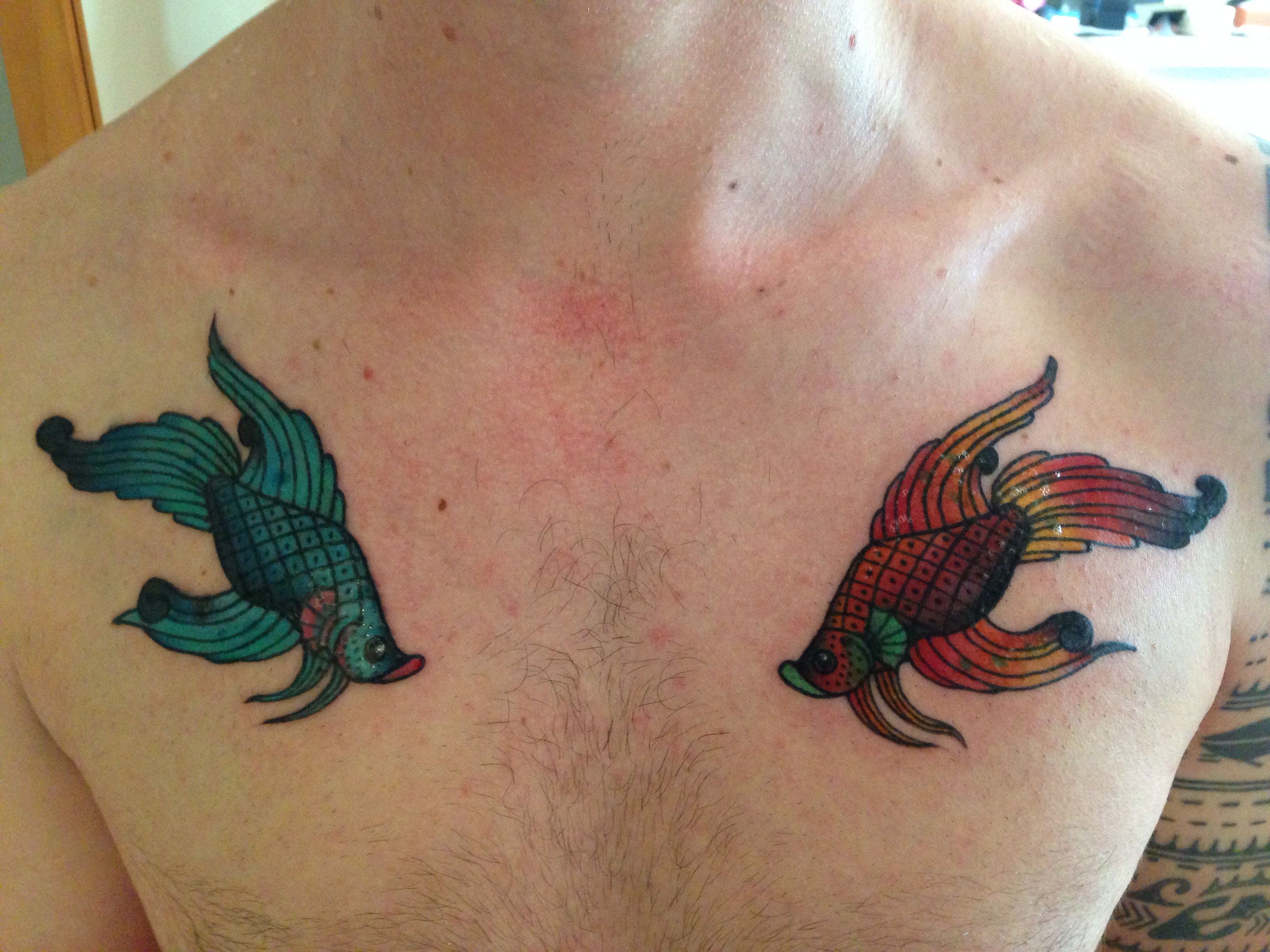 Back Shoulder Siamese Fighting Fish Tattoo