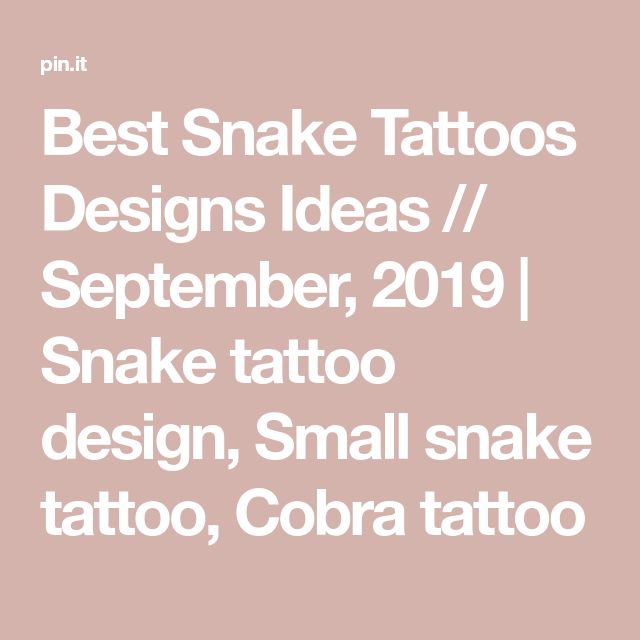 Best Snake Tattoos Designs Ideas August 2019 Snake Tattoos Best