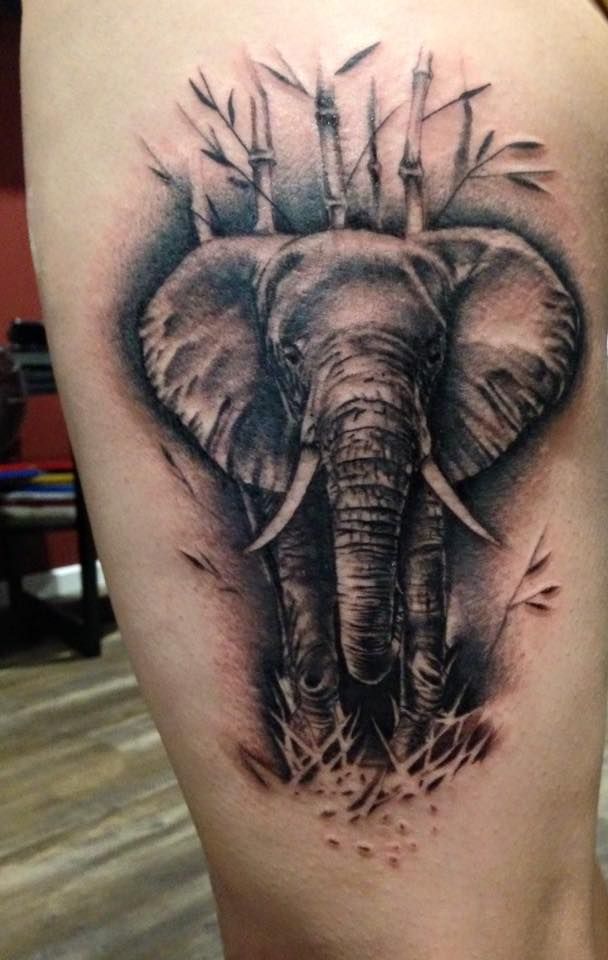 Black And Grey Realistic Elephant And Bamboo Thigh Piece By Lou Shaw