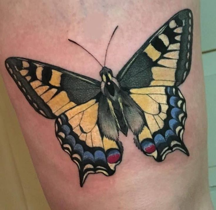 Butterfly Tattoos Meanings Tattoo Designs Artists Back Piece