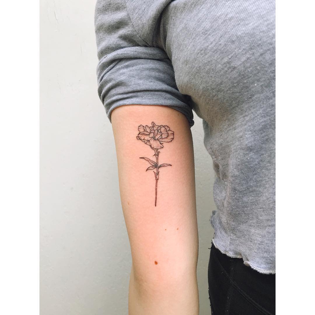 Carnation Carnation Tattoo Flower Flower Tattoo Floral Floral