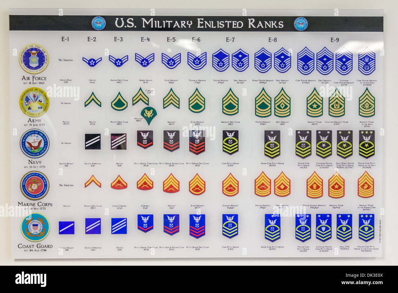 Chart Showing Us Military Enlisted Personnel Rank Information Stock Photo Alamy