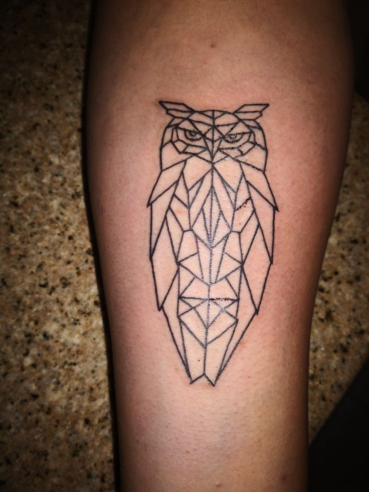 Details 90 About Geometric Owl Tattoo Latest Billwildforcongress