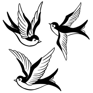 Details More Than 74 Sparrow Tattoo Design Best In Coedo Com Vn