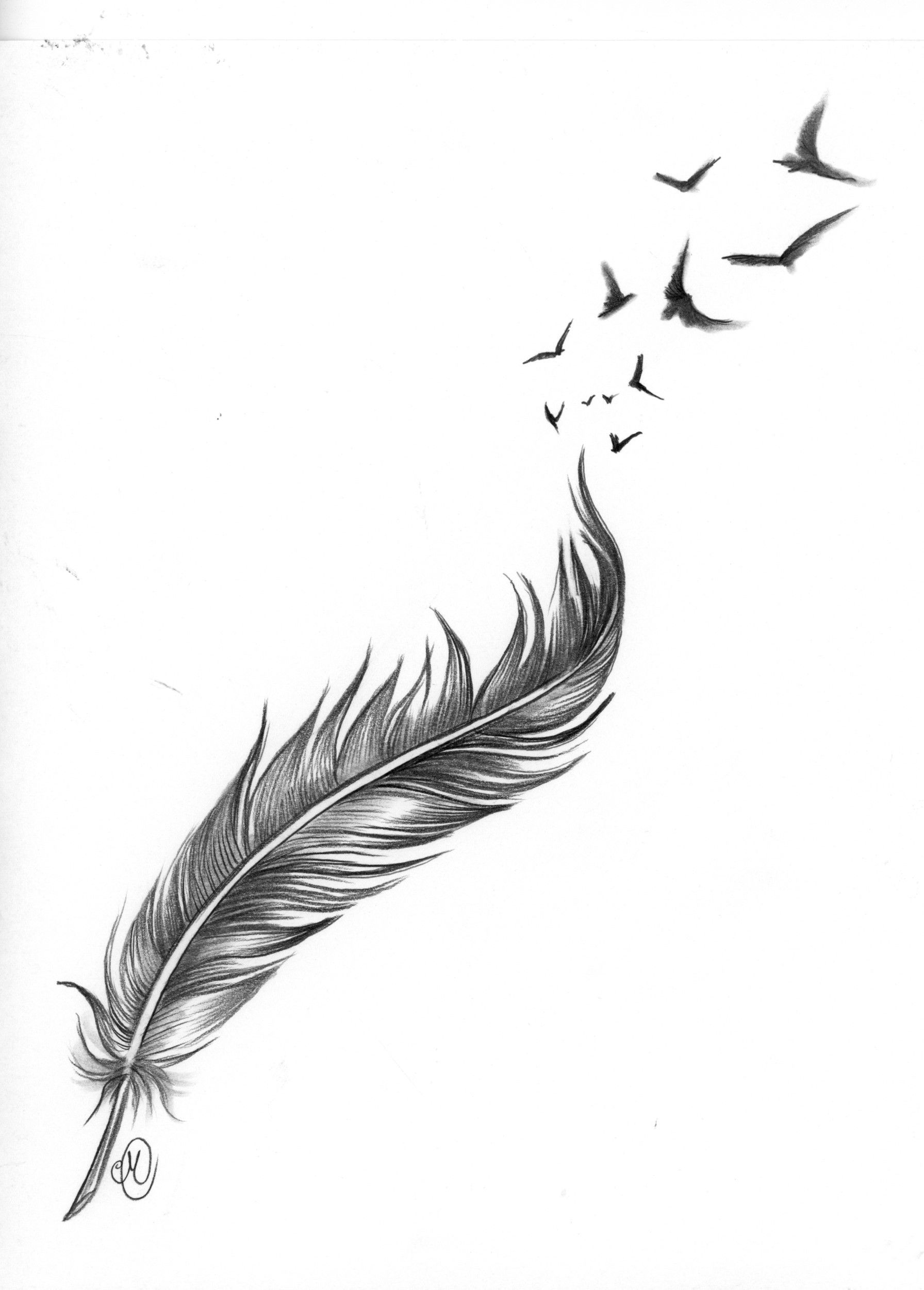 Details More Than 85 Feather And Bird Tattoo Designs Super Hot In Coedo Com Vn