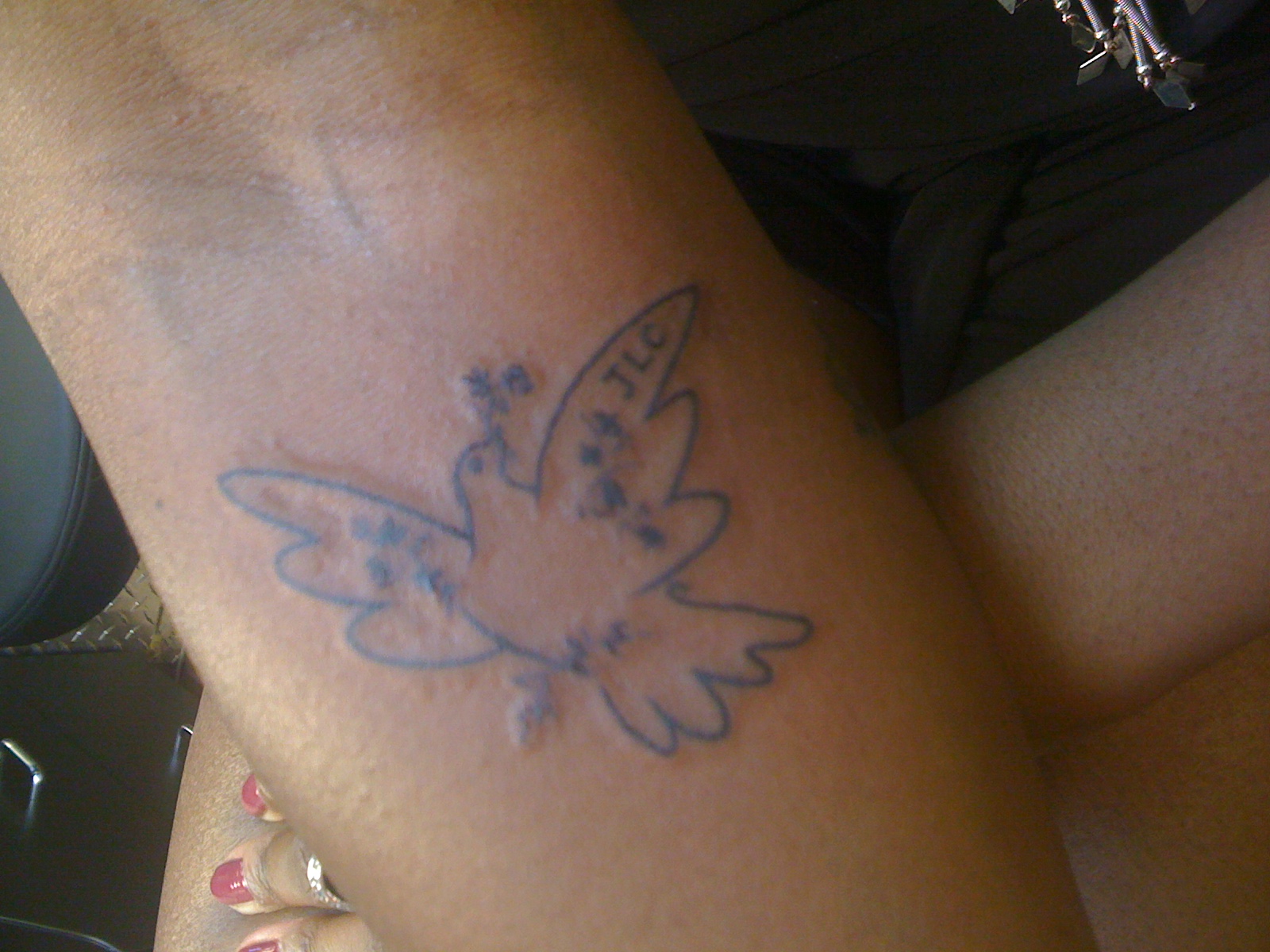 Dove Tattoos Designs Ideas And Meaning Tattoos For You