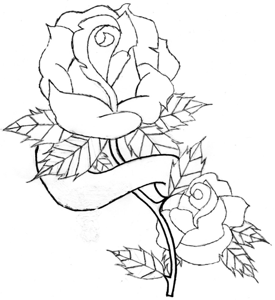 Drawings Of Roses With Banners Smokeonthewatertutorial