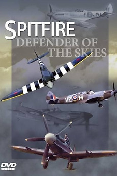 From Prototype To Defender Of The Skies The Story Of The Spitfire