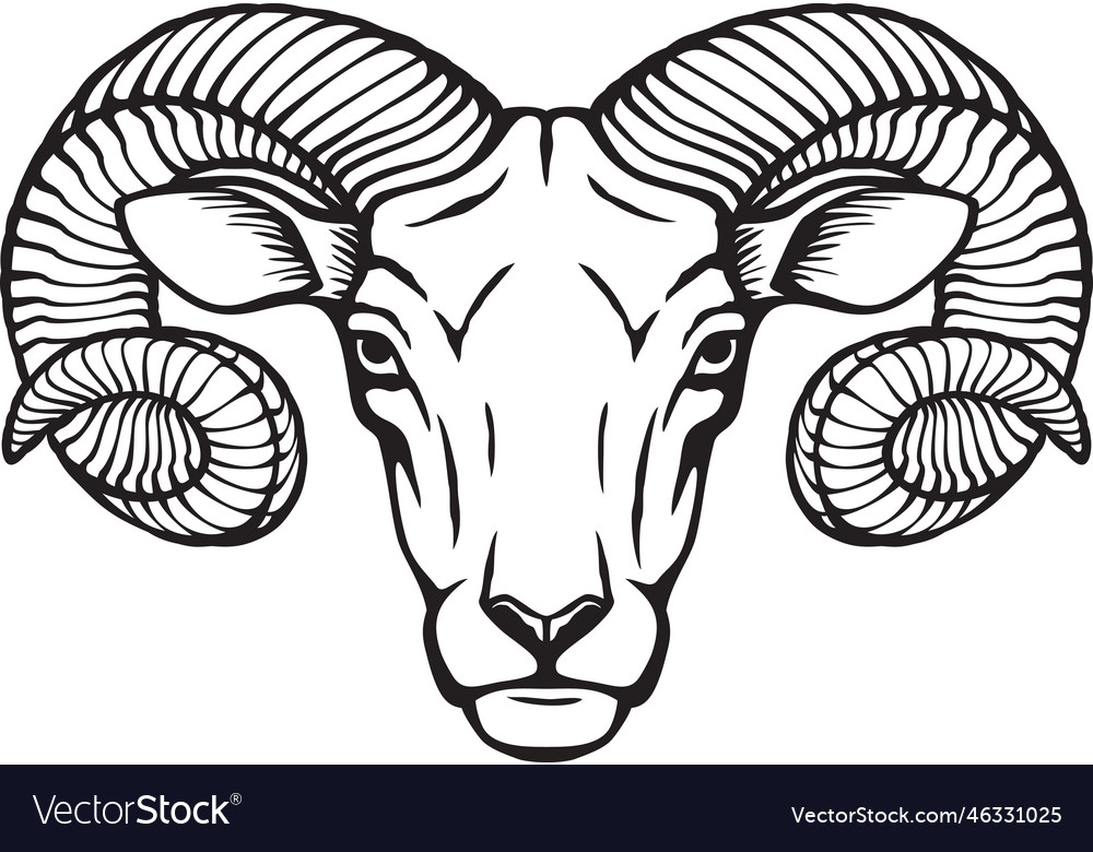 Head Of Ram Tattoo In Black And Gray Isolated Stock Vector