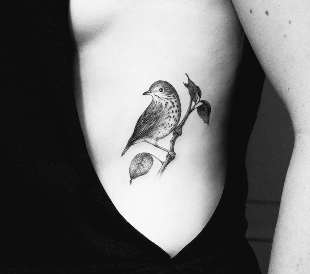 Hermit Thrush Tattoo By Amanda Piejak Photo 17403