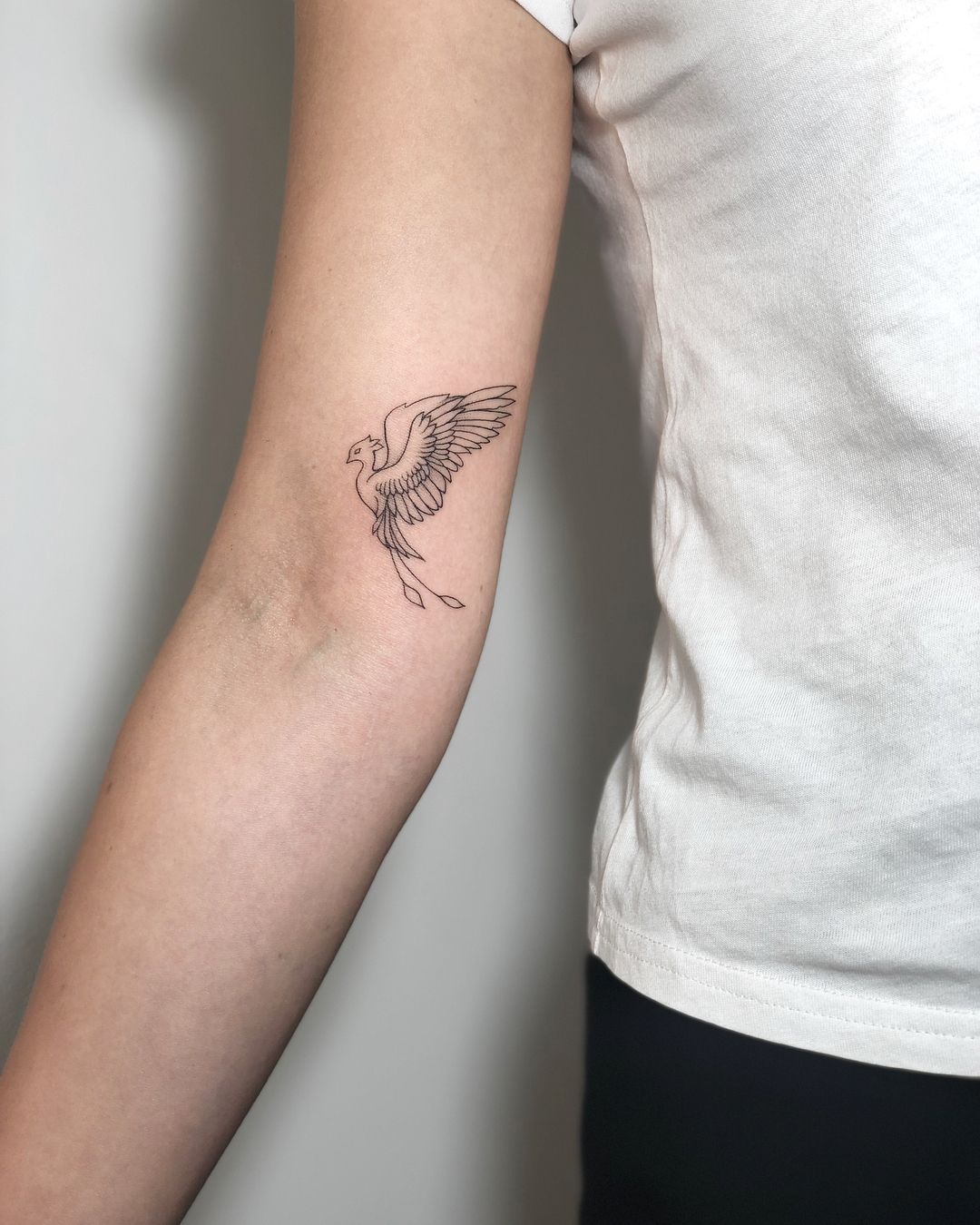 Ira Shmarinova Tattoo On Instagram Tattoo Irainkers Linework