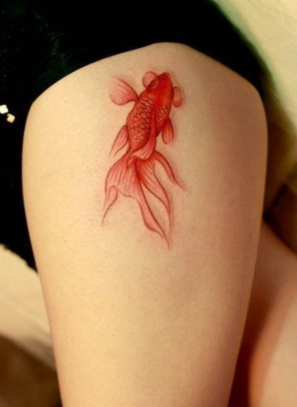 Latest 50 Fish Tattoo Designs Images With Meaning For Men And Women