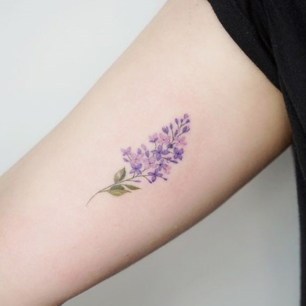 Lilac Flower Tattoo Meaning Best Flower Site