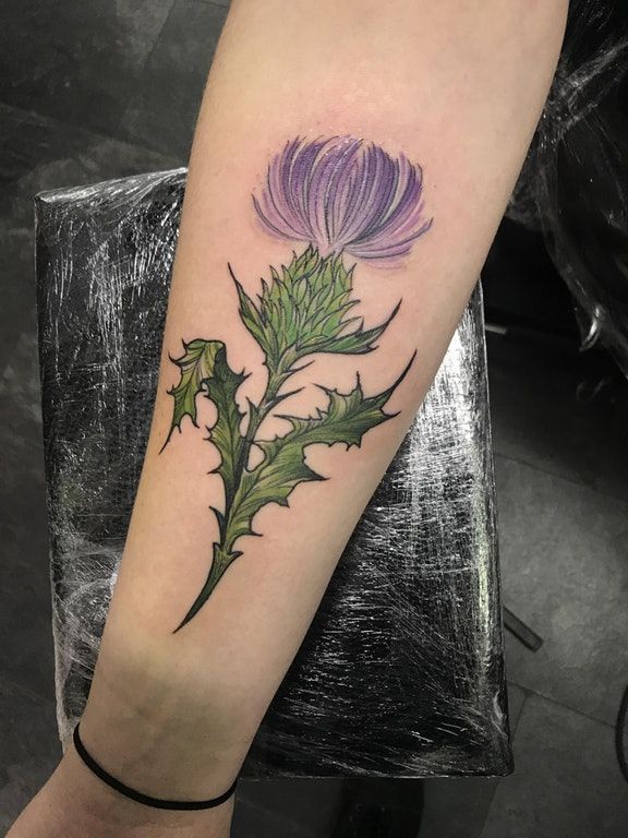 Milk Thistle By Kerry Gentle At Red Hot And Blue Tattoo Edinburgh Uk