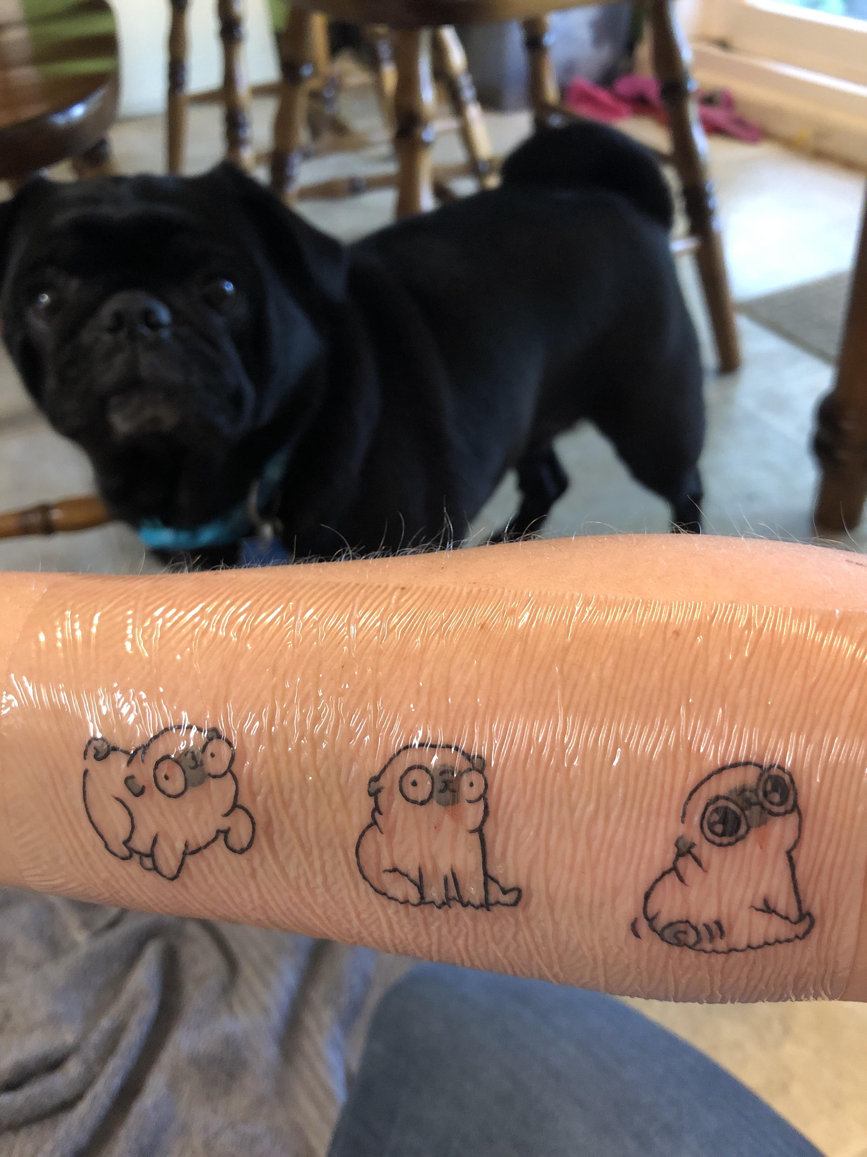 My New Pug Tattoo Along With A Cameo From My Pug Pug Tattoo Pugs Dog Tattoos