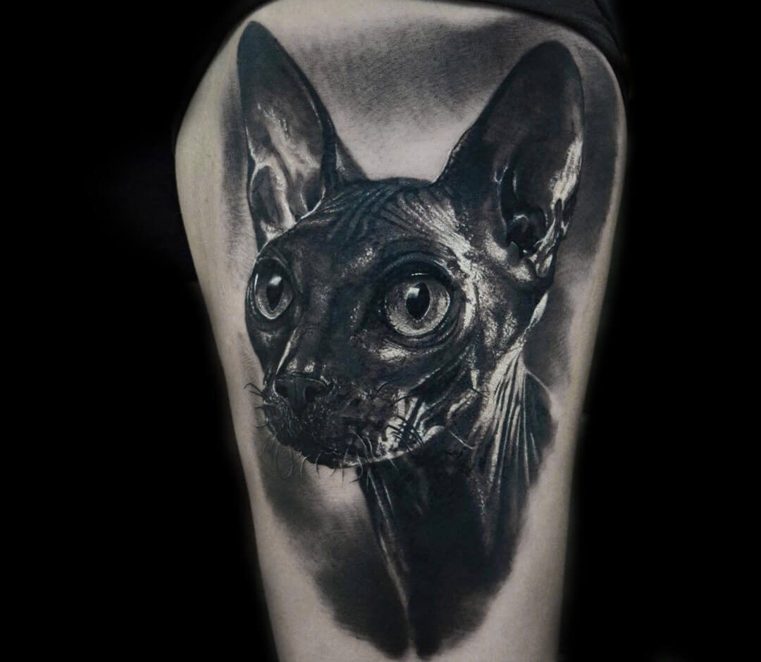 My Sphynx Tattoo Animal Tattoo Sphynx Animals