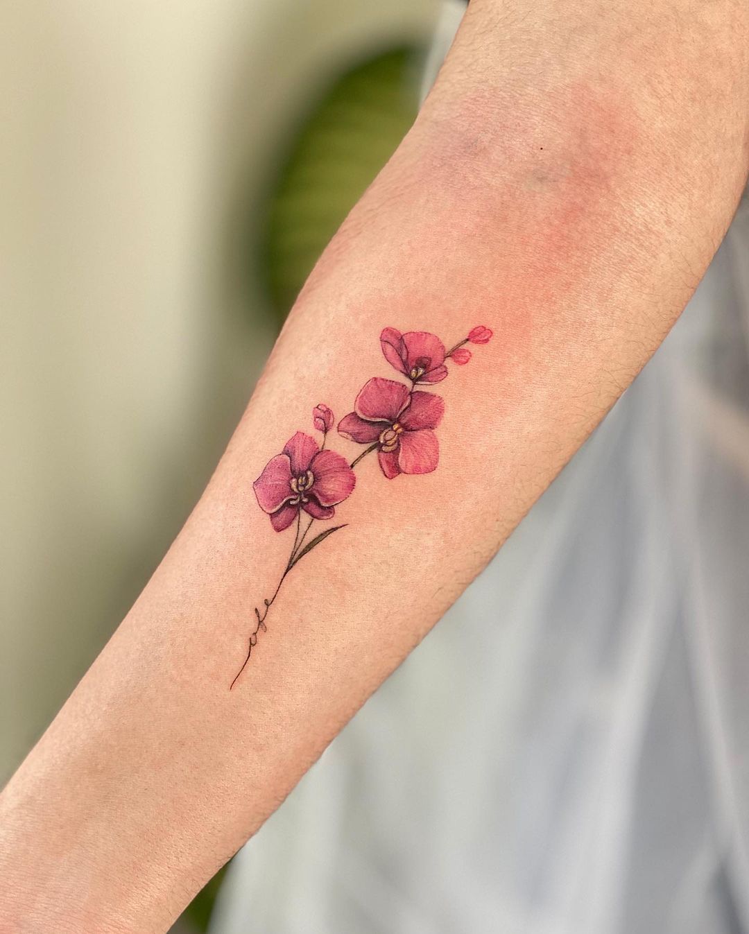 Orchid Tattoos Designs Ideas And Meaning Tattoos For You