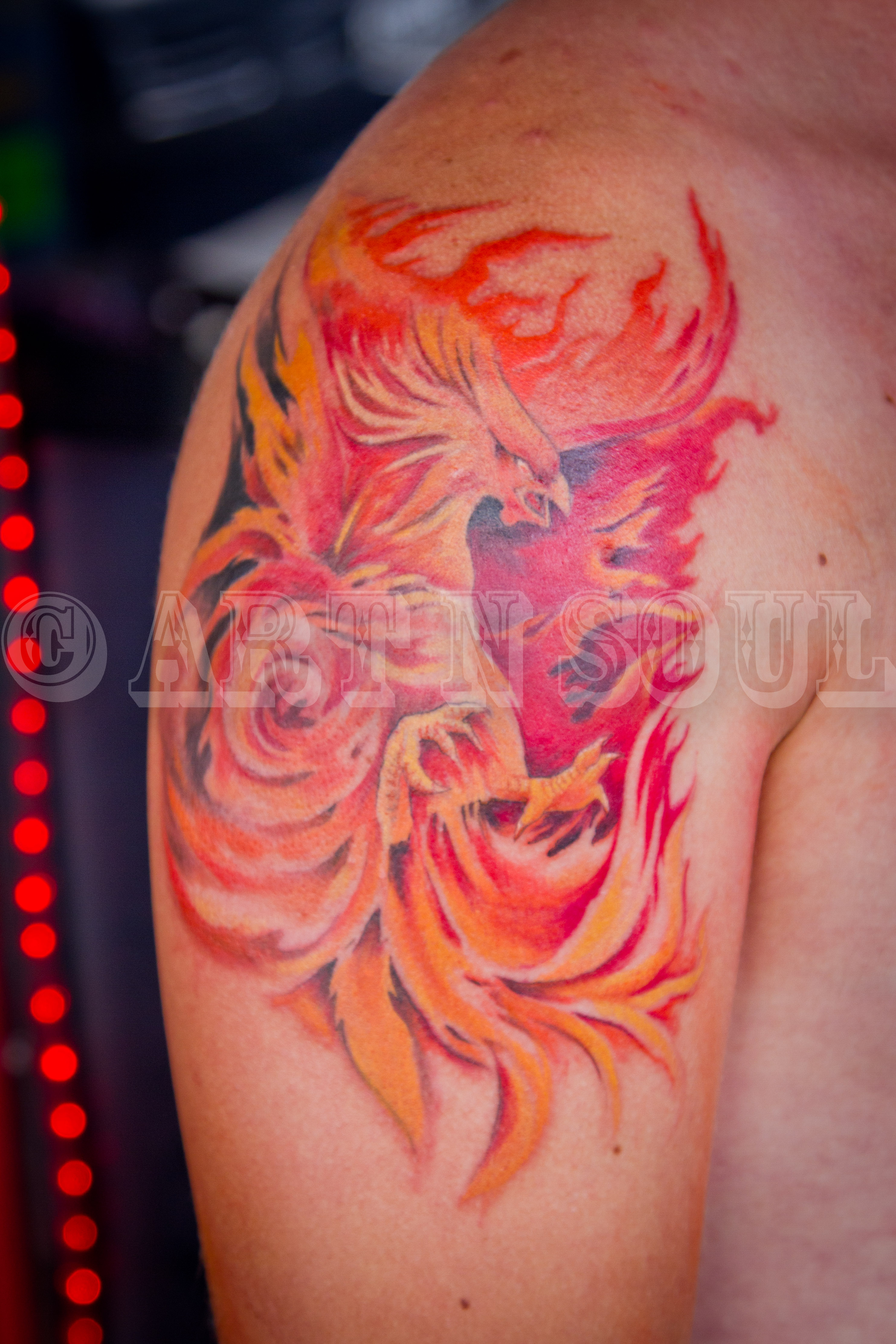 Phoenix Tattoo Dhtattoo Co Nz