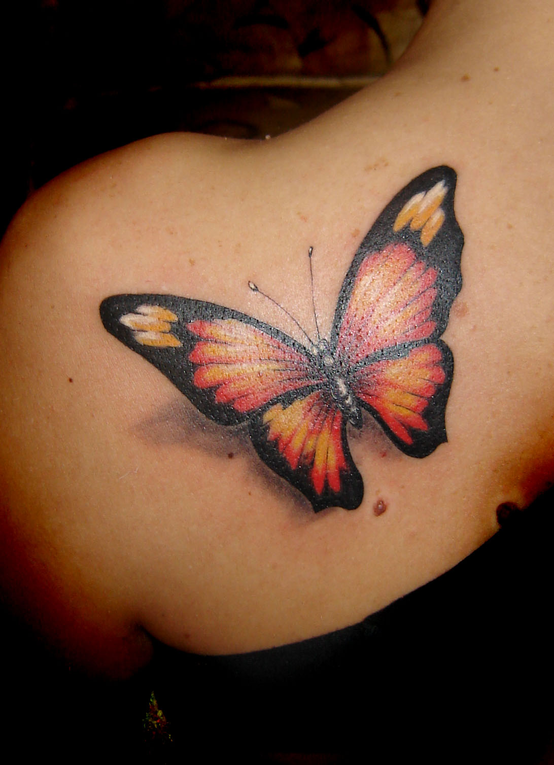 50 Stunning Butterfly Tattoo Designs for Inspiration