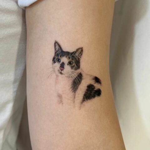 Pin On Cat Tattoo