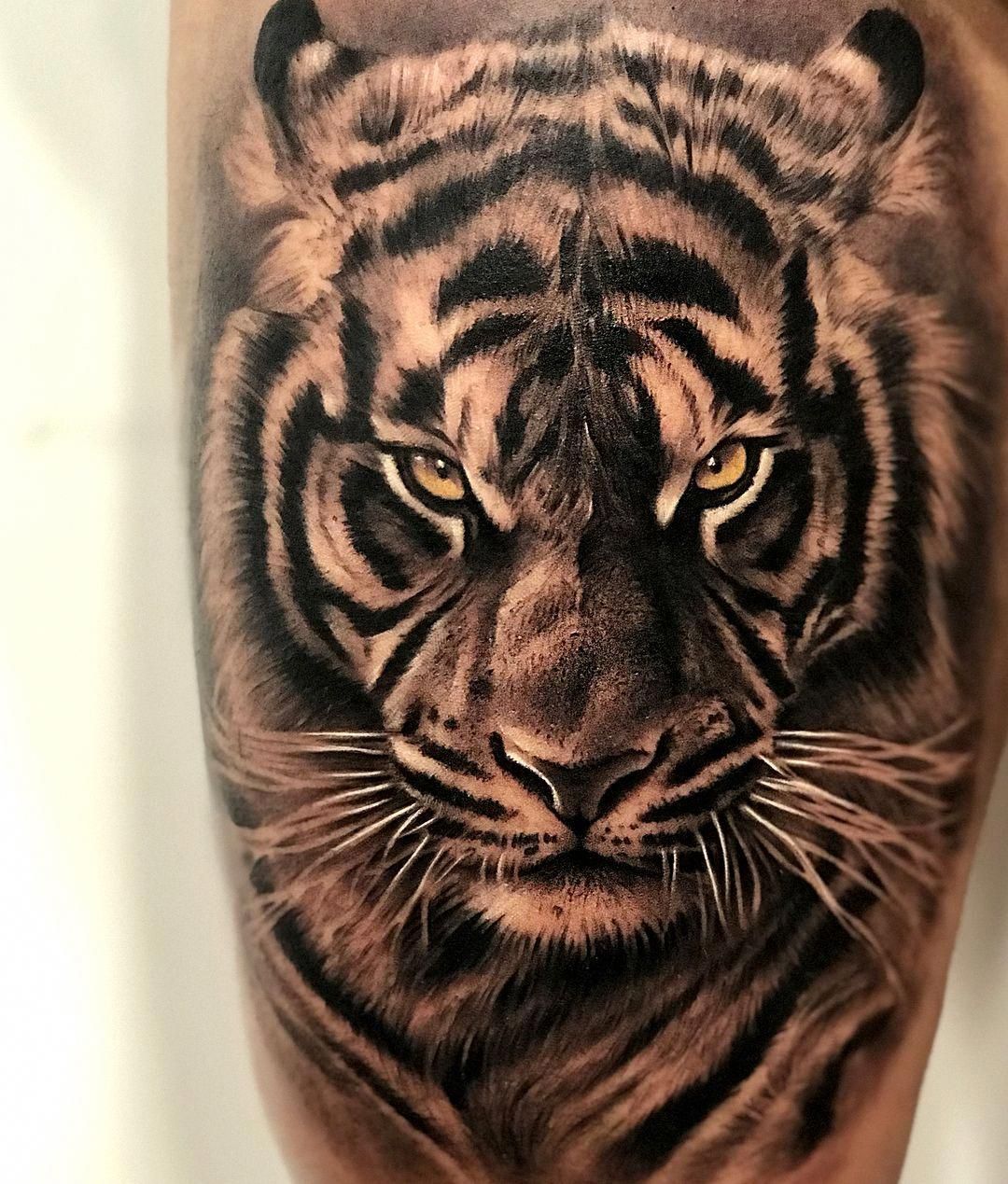 Pin On Tiger Tattoo