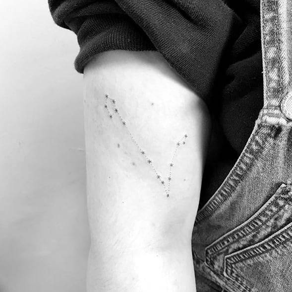 Pisces Constellation Tattoo On The Back Of The Right