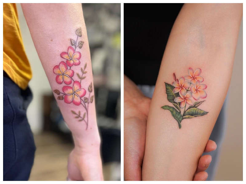 Plumeria Flower Tattoo Designs Best Flower Site